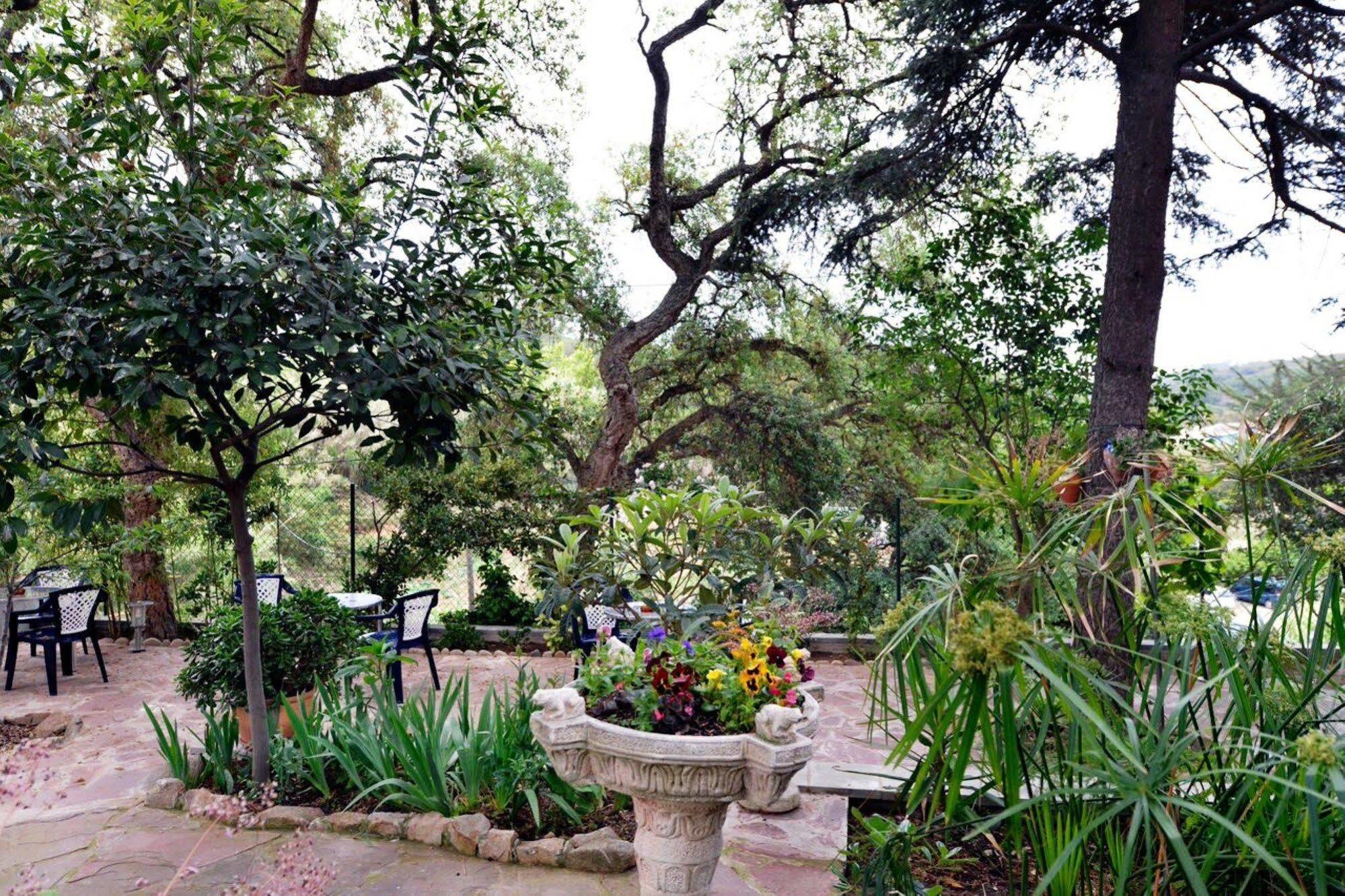 Gasthof Magnolia Lloret de Mar